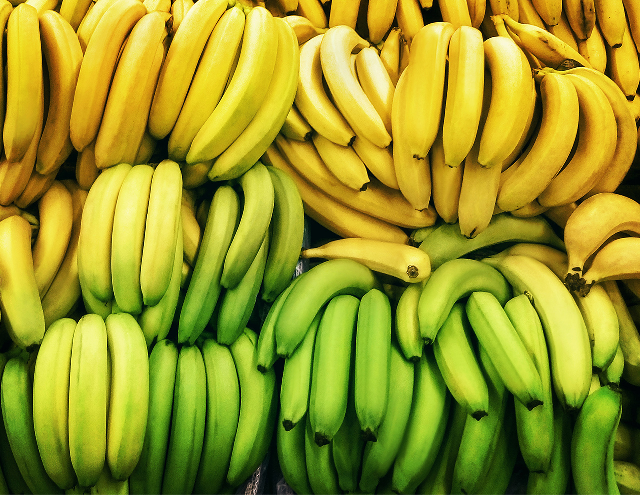 Bananer der modnes